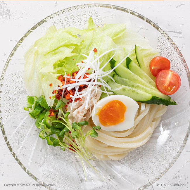 麺匠庵　無塩うどん　一生健麺　No.15　割引き商品